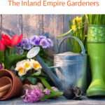 Garden Expo in Spokane